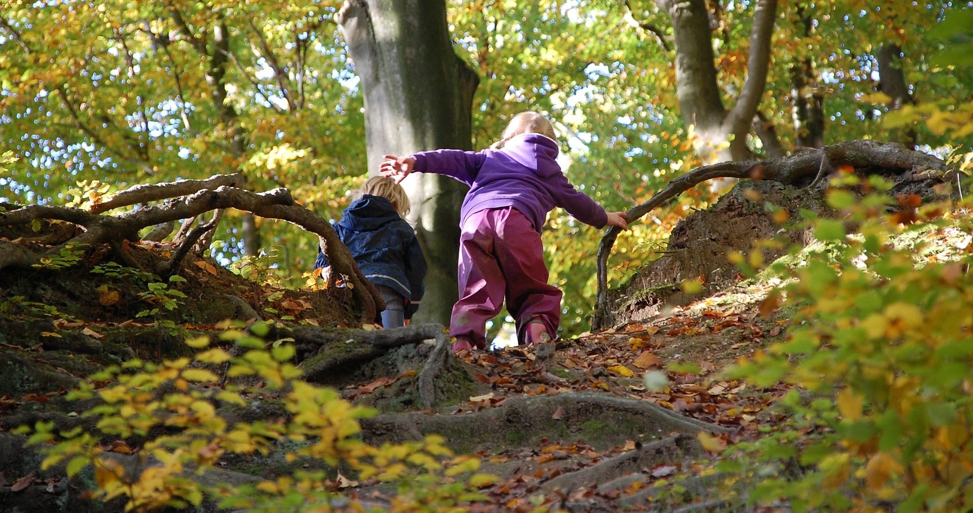Waldtage in der dunklen Jahreszeit 