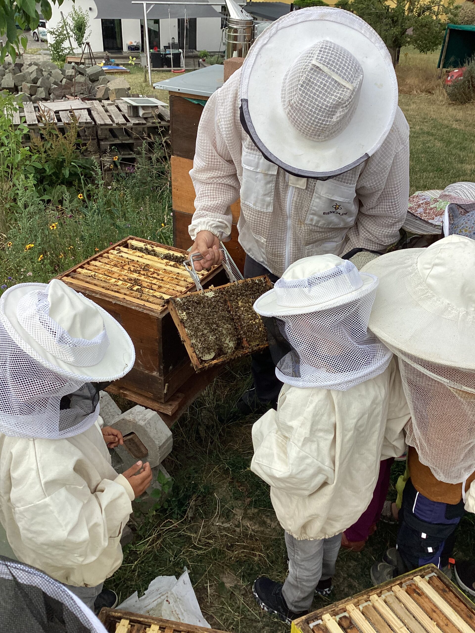 Bienenprojekt in der Kita in Osann-Monzel