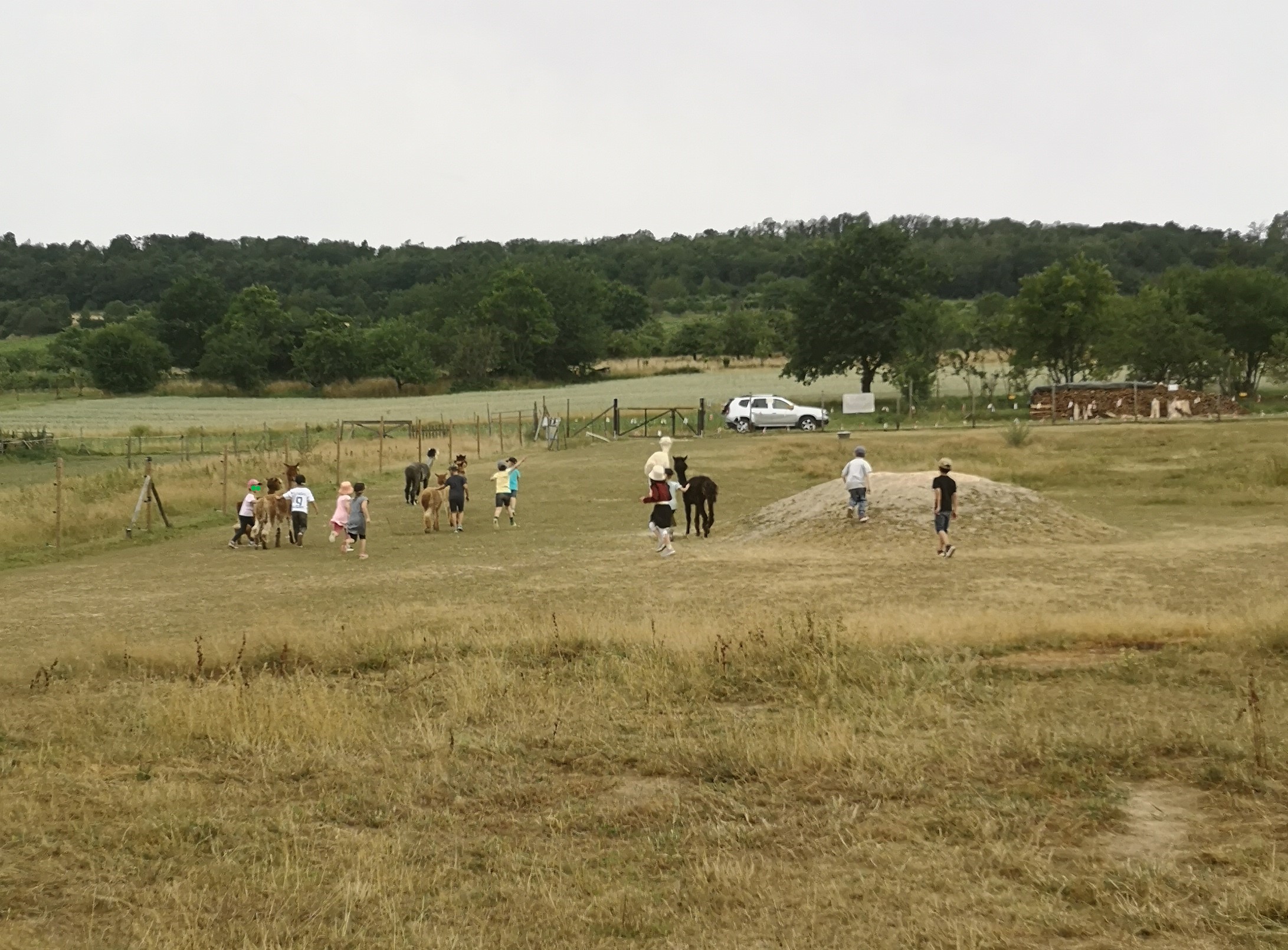 Mottowoche 2023 der Osann-Monzeler Schlaufüchse vom 14.-22. Juli 2023